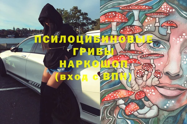 мдпв Абинск