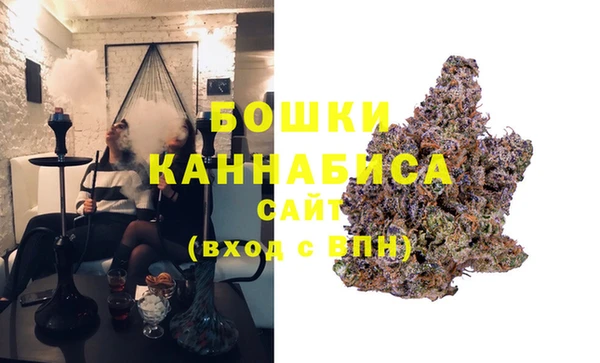 хмурый Протвино